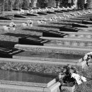 정무 바울로 2025.11.02 사진묵상(239) Memento mori(죽음을 기억하라) 이미지