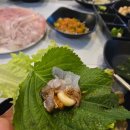 창원 상남동 어판장 내돈내산 솔직 방문후기