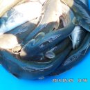 노지하우스 이미지