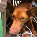 차성동로 이미지