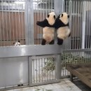 청량리뼈구이 이미지