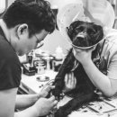 링크동물의료센터 이미지