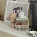 1214 | 봄여름에 어울리는 꽃,비누향 향수 추천 (나나파인트 칸나 1214 후기)