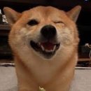 일타 태권도장 이미지