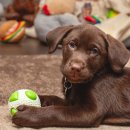 세탁보감 이미지