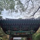 향림사 화장실 이미지