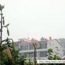 추봉도바다펜션 이미지