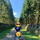 나이스 안마원 이미지