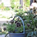 곰바우농장 이미지