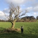 무산목장 이미지