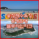 바다양푼이 송정점 | 부산의 핫플, 송정해수욕장 &amp; 블루라인파크 매력 총정리!