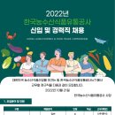 한국농수산식품유통공사 2022년 신입 및 경력직원 채용(~11월 4일) 이미지