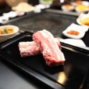 더피그 이미지