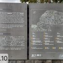 성읍리 느티나무 및 팽나무군 | 제주 성읍리 느티나무 및 팽나무군