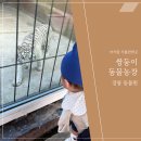 옥계농장 | 강릉 아기랑 가볼만한곳 옥계 쌍둥이 동물농장