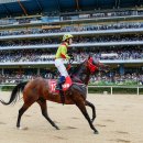 국제신문 이미지