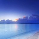 그녀의 바다 이미지