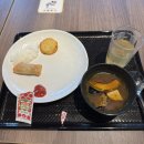 카페 인 타코야키 | 니조시장 오이소 분점/snobbish babies/모이와야마 전망대/긴다코(타코야키)/코텐야(야끼토리) 솔직 후기