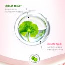 동국제약 | 300시간 항산화 토닝 케어! 동국제약 센텔리안24 마데카크림 어드밴스드 후기