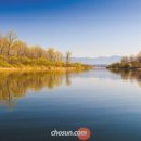 공지천 에디오피아 이미지