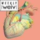 [야간] 포크기타 이미지