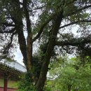 나주향교 | [10개월 아기와 전라남도 여행] 나주 가볼만한 곳 _ 나주 향교