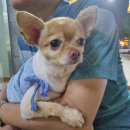 참뿌리한의원 | [블챌_7월3주] 교통사고 입원 일주일, 완전한 사육중...벌써 내일 퇴원이다!