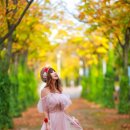 마로니에길 이미지