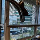 동서약품 | 발산역 미용실 선택 가이드: 해피니언 발산역점의 분위기와 서비스 소개