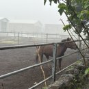 팜팜스테이 이미지