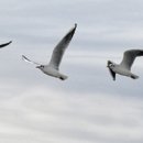 소로3-203 이미지