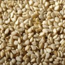 기나키친 이미지