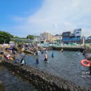 샛도리물 이미지