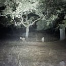 행복농장 봉화지점 | 은의 길, 눈으로 걷는 순례길 2