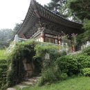 고촌로28번길 이미지