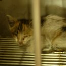 신석초교 이미지