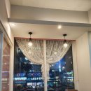 러블리독 애견카페 이미지