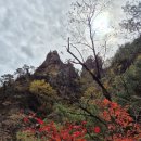 24 10 20 설악산(점봉산) 흘림골 등선대,주전골 단풍 이미지