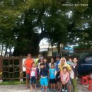 마당골민박 이미지