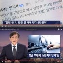 주머니열개 Daum카페