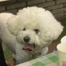 미림목욕탕 | 북한산 우이동 계곡 ‘미림산장’ 두번은 굳이 싶은 후기(feat.물놀이)