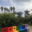 예원농장 이미지