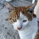 CU 거제성포점 이미지