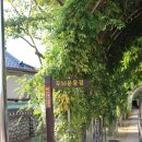 대구광역시동구보건소 이미지