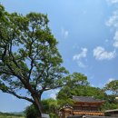 뱃나들펜션 이미지