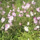 방주농장 이미지