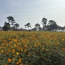 강변공원 이미지