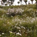 충의공원(충혼탑) 이미지