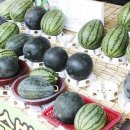 청천나들이 이미지