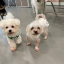 잠두유치원 이미지